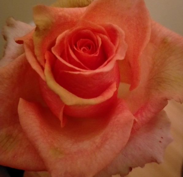 © Photo : Hayat AIT-BOUJOUNOUI y